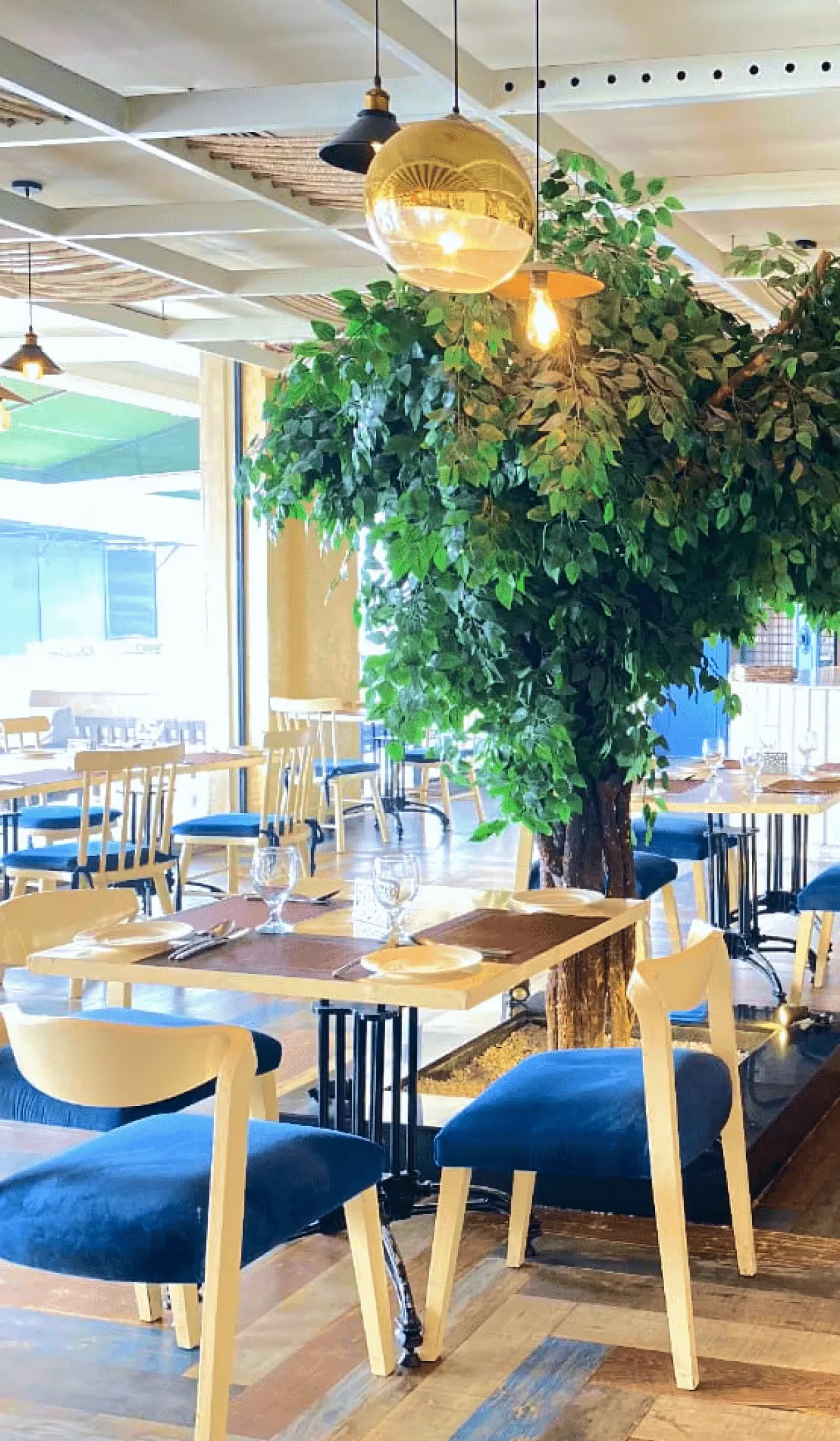 west canal Food Place
